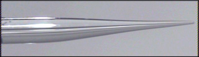 Laser Pulled Needle